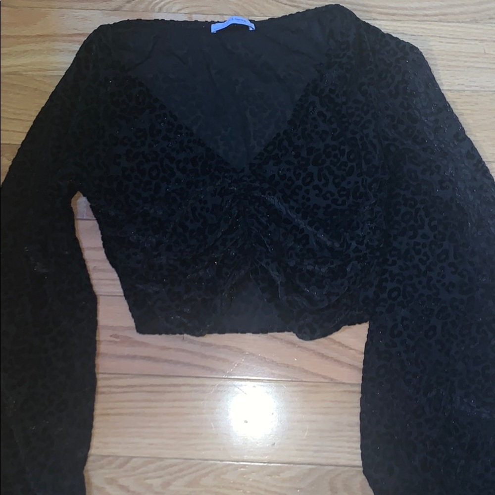 Zara long sleeve cropped cheetah top